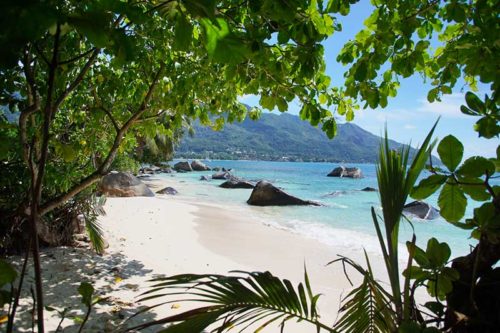NCL Indian Ocean Cruise - Seychelles Beach